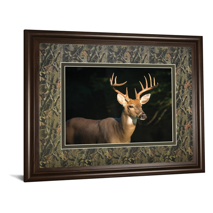 Classy Living White Tall Majesty Wall Art Double Mat 40"x34", Cinnamon