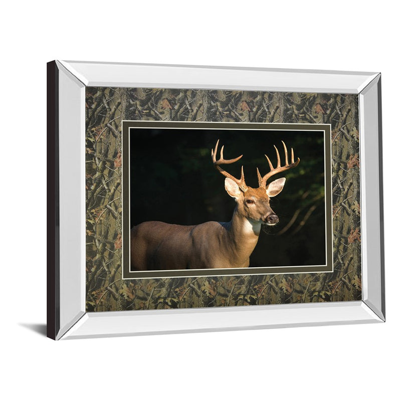 Classy Living White Tall Majesty Wall Art 40"x34", Mirrored