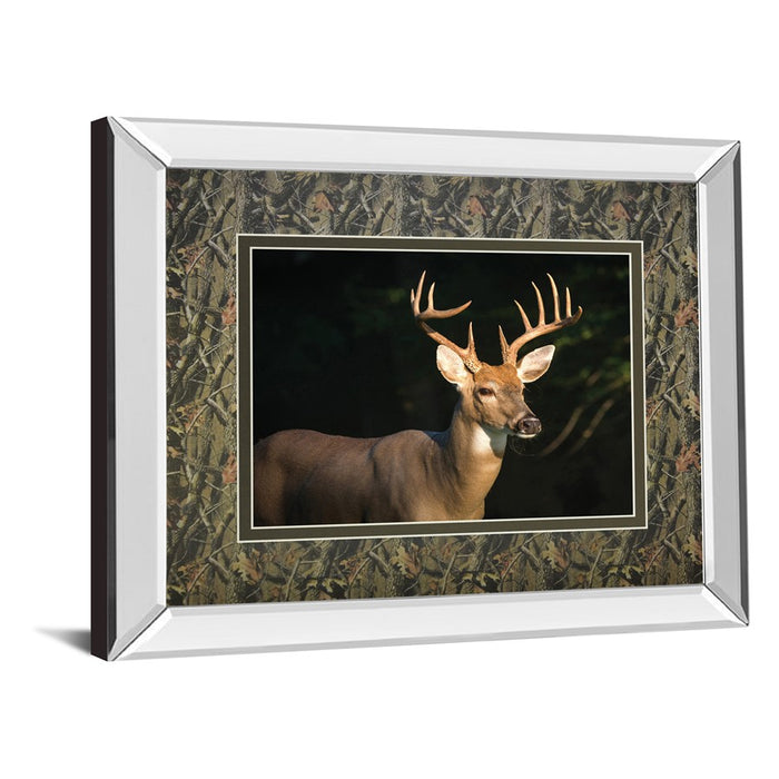 Classy Living White Tall Majesty Wall Art 40"x34", Mirrored