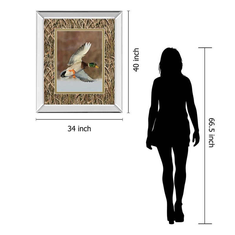 Classy Living Flying Mallard Wall Art 34"x40", Mirrored