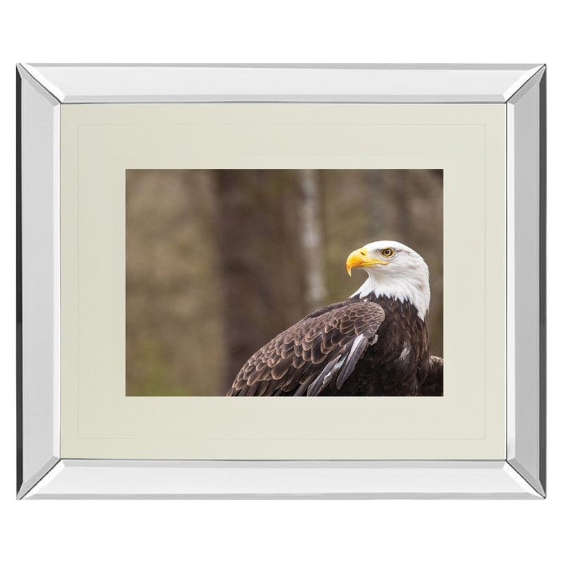 Classy Living Regal Eagle Wall Art 40"x34", Mirrored