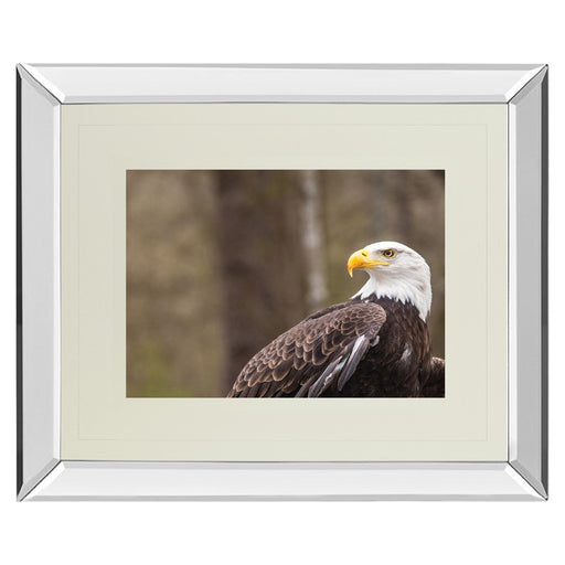 Classy Living Regal Eagle Wall Art 40"x34", Mirrored - DM5567MF