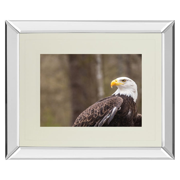 Classy Living Regal Eagle Wall Art 40"x34", Mirrored - DM5567MF