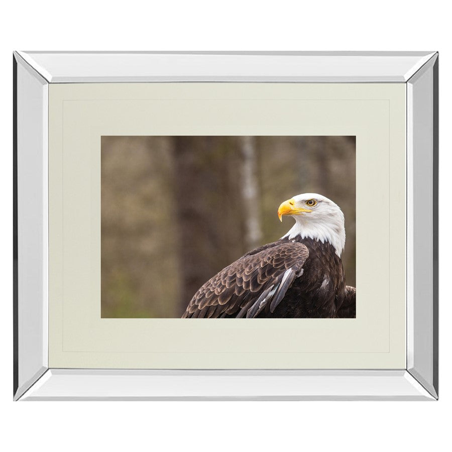 Classy Living Regal Eagle Wall Art 40"x34", Mirrored - DM5567MF