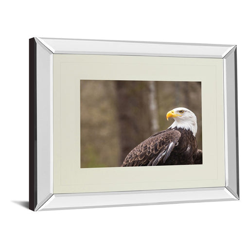 Classy Living Regal Eagle Wall Art 40"x34", Mirrored