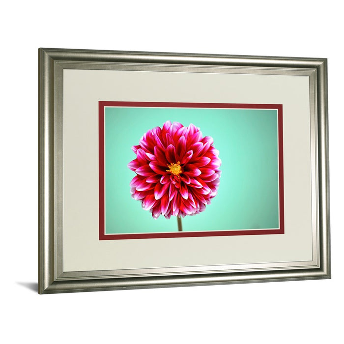 Classy Living Zenia Bloom Wall Art Double Mat 40"x34", Silver Serenity
