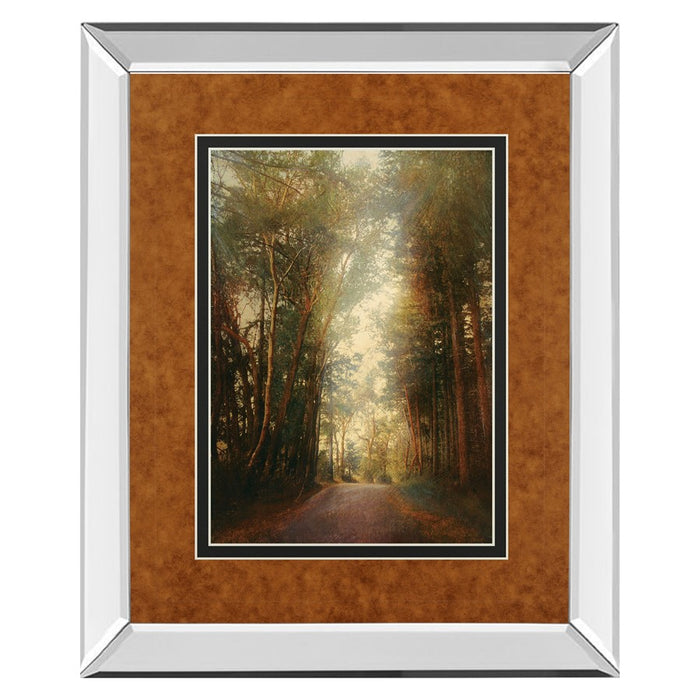 Classy Living Road of Mysteries II Wall Art 34"x40", Mirrored