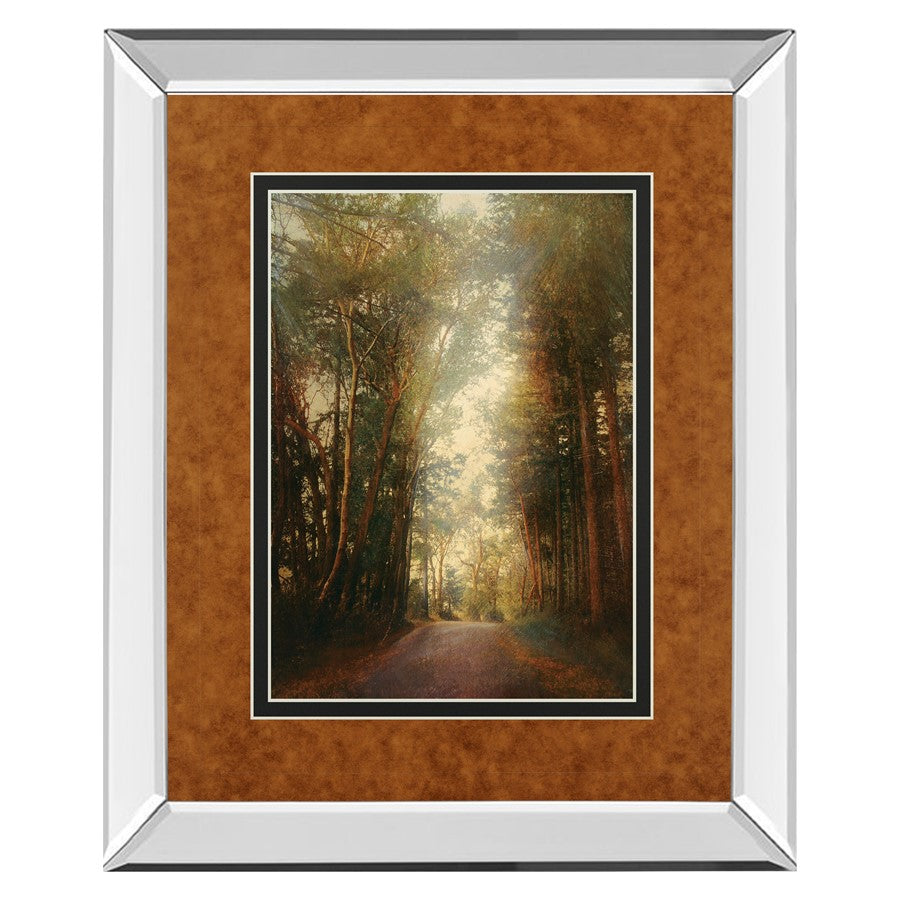 Classy Living Road of Mysteries II Wall Art 34"x40", Mirrored