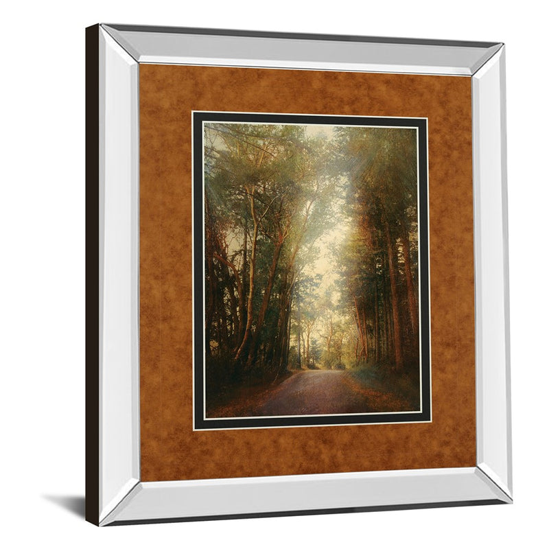 Classy Living Road of Mysteries II Wall Art 34"x40", Mirrored