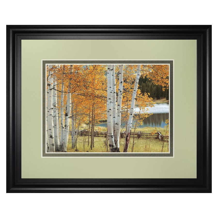 Classy Living Birch Glow Wall Art Double Mat 40"x34", Black