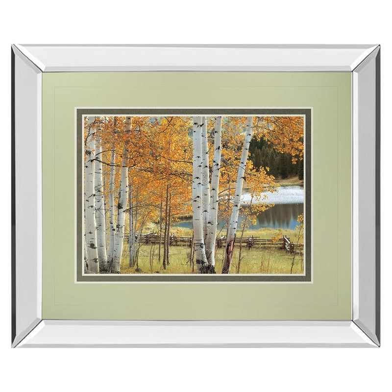 Classy Living Birch Glow Wall Art 40"x34", Mirrored