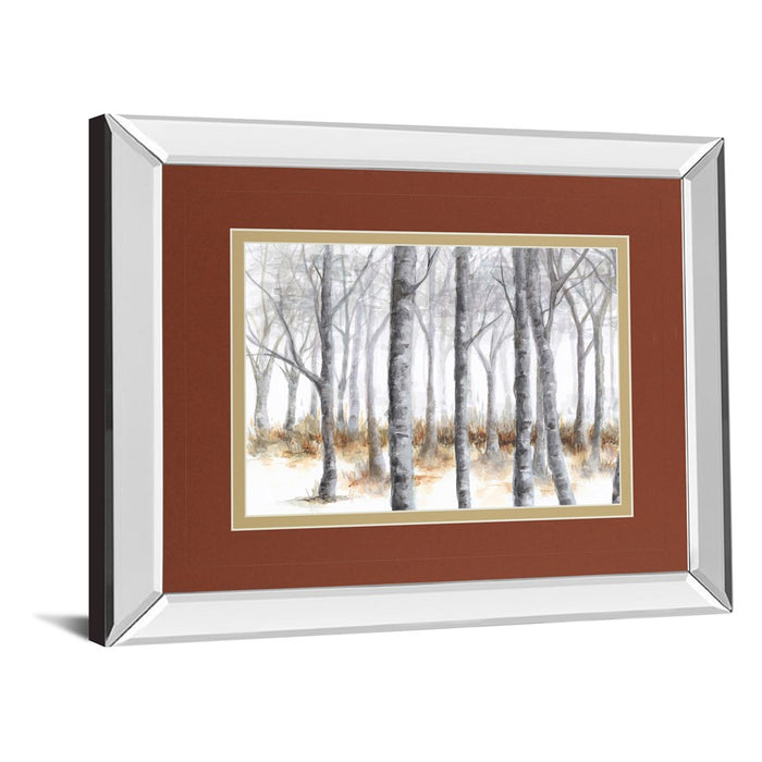 Classy Living Birch Serenity Wall Art 40"x34", Mirrored