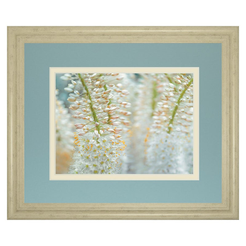 Classy Living Delicate Blooms Wall Art Double Mat 40"x34", Ivory Bliss