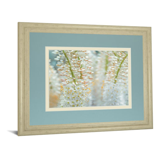 Classy Living Delicate Blooms Wall Art Double Mat 40"x34", Ivory Bliss