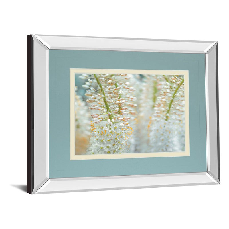 Classy Living Delicate Blooms Wall Art 40"x34", Mirrored