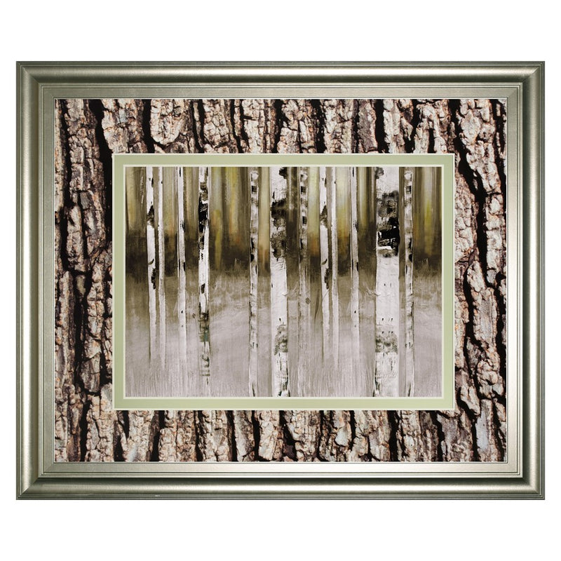 Classy Living Birch Grove Wall Art Double Mat 40"x34", Silver Serenity