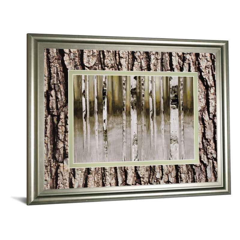 Classy Living Birch Grove Wall Art Double Mat 40"x34", Silver Serenity