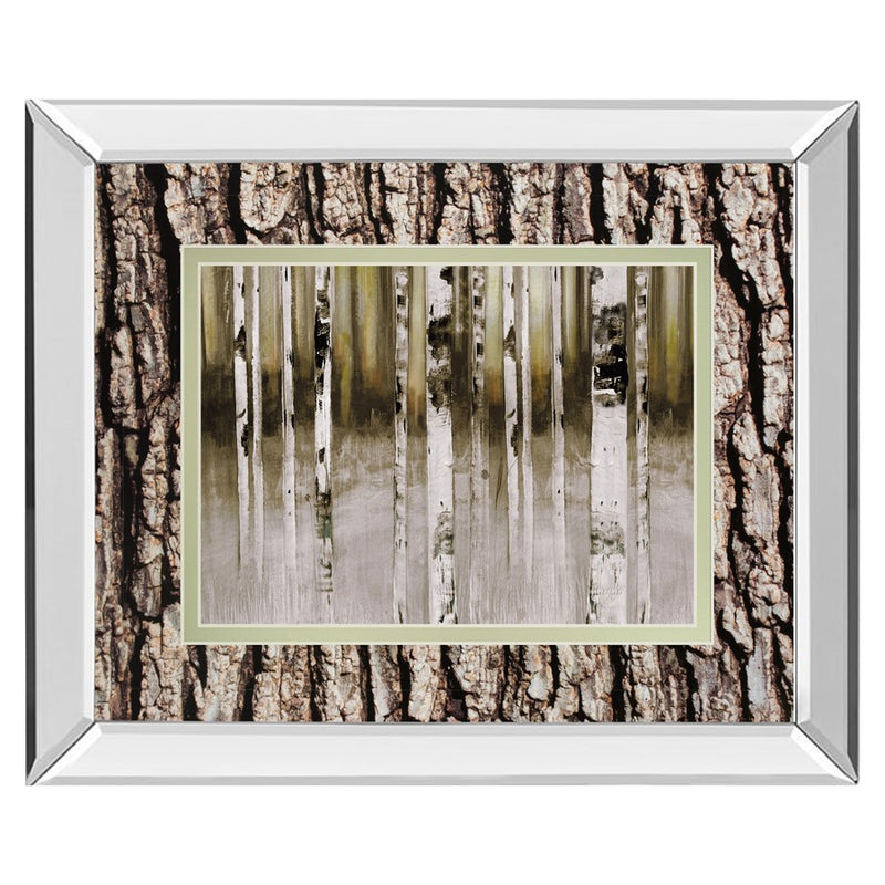Classy Living Birch Grove Wall Art 40"x34", Mirrored