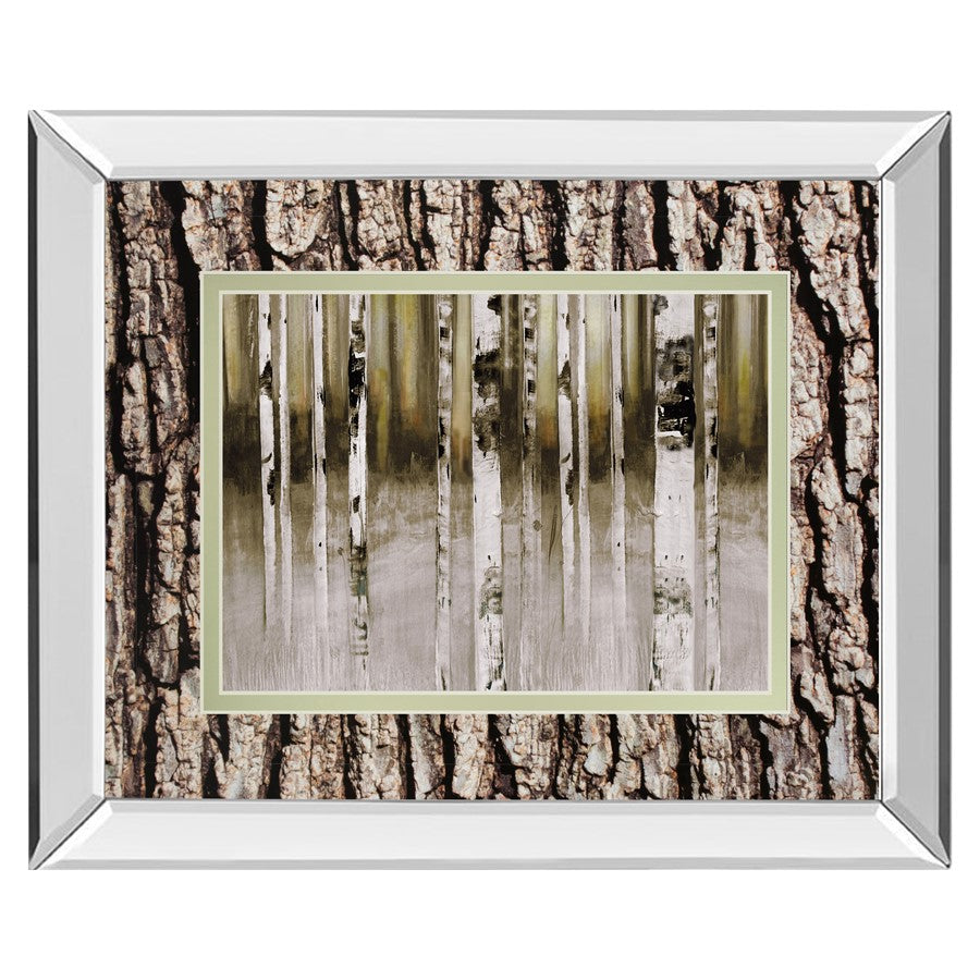 Classy Living Birch Grove Wall Art 40"x34", Mirrored - DM5632MF
