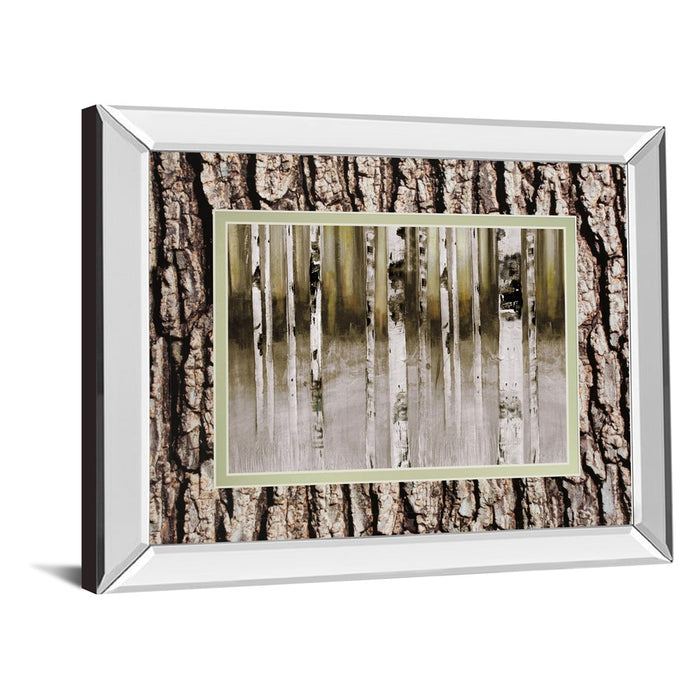 Classy Living Birch Grove Wall Art 40"x34", Mirrored