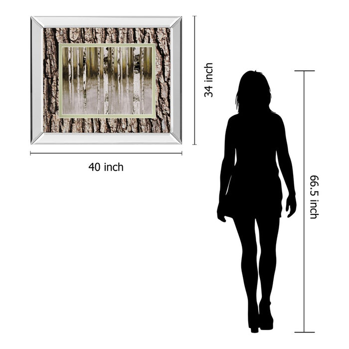 Classy Living Birch Grove Wall Art 40"x34", Mirrored