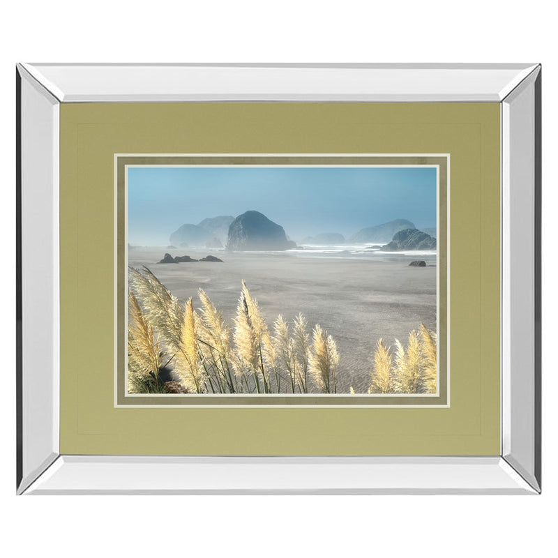 Classy Living Pompas Beach Wall Art 40"x34", Mirrored