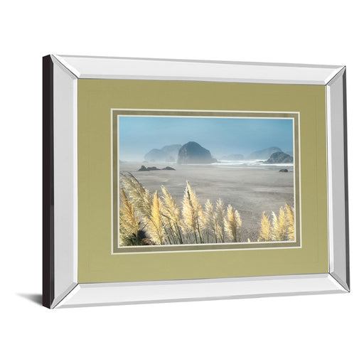 Classy Living Pompas Beach Wall Art 40"x34", Mirrored