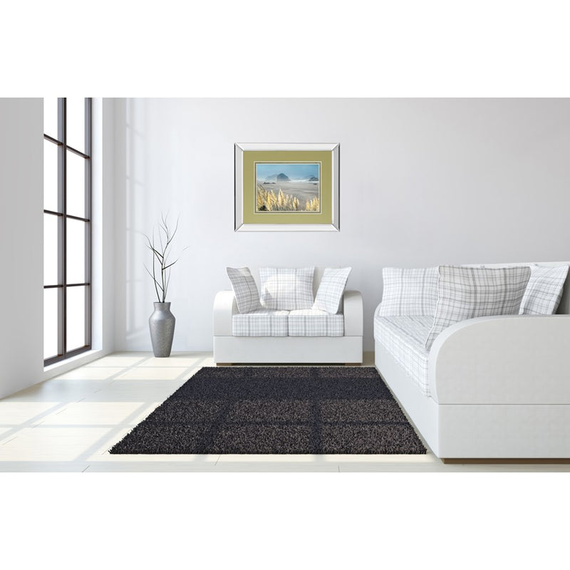 Classy Living Pompas Beach Wall Art 40"x34", Mirrored