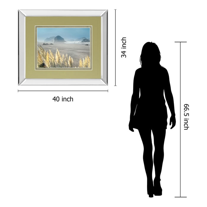 Classy Living Pompas Beach Wall Art 40"x34", Mirrored