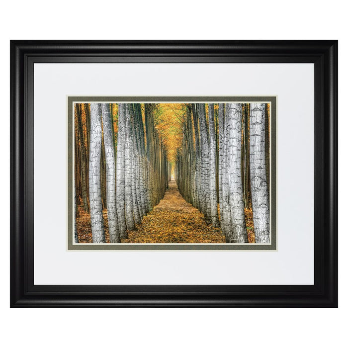 Classy Living Forest Path Wall Art Double Mat 40"x34", Midnight Aura