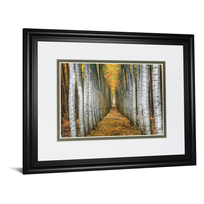 Classy Living Forest Path Wall Art Double Mat 40"x34", Midnight Aura
