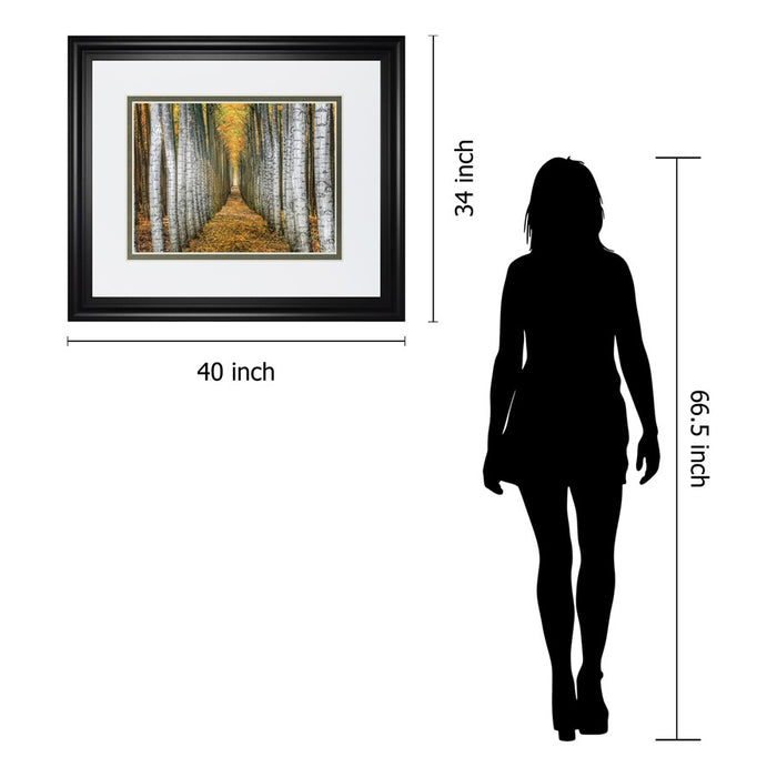 Classy Living Forest Path Wall Art Double Mat 40"x34", Midnight Aura