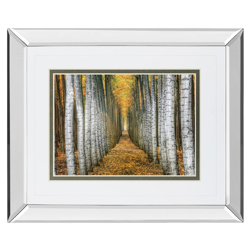 Classy Living Forest Path Wall Art 40"x34", Mirrored