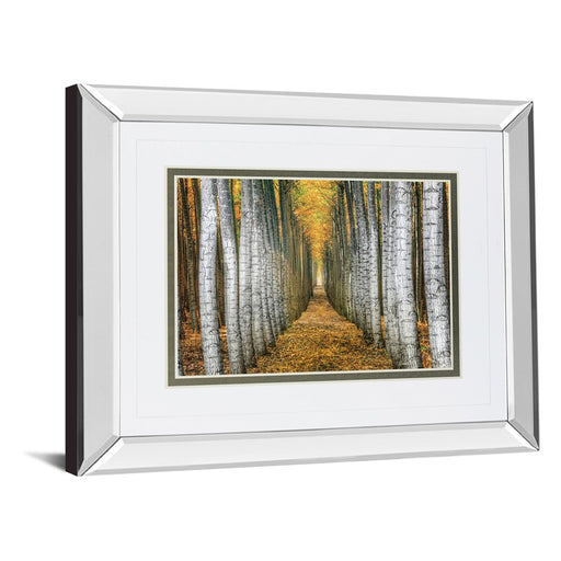 Classy Living Forest Path Wall Art 40"x34", Mirrored