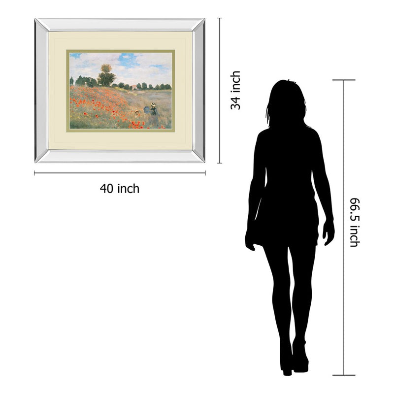Classy Living WIId Poppies View Wall Art 40"x34", Mirrored