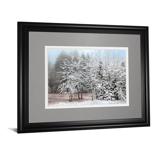 Classy Living Frosty Morning Wall Art Double Mat 40"x34", Midnight Aura