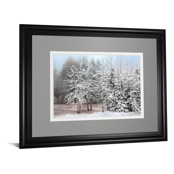 Classy Living Frosty Morning Wall Art Double Mat 40"x34", Midnight Aura