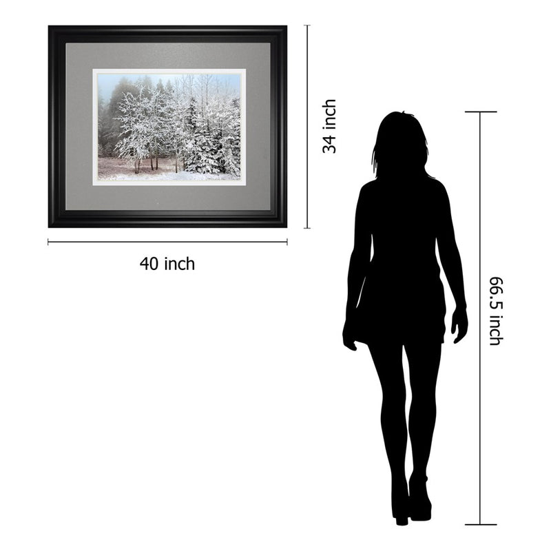 Classy Living Frosty Morning Wall Art Double Mat 40"x34", Midnight Aura