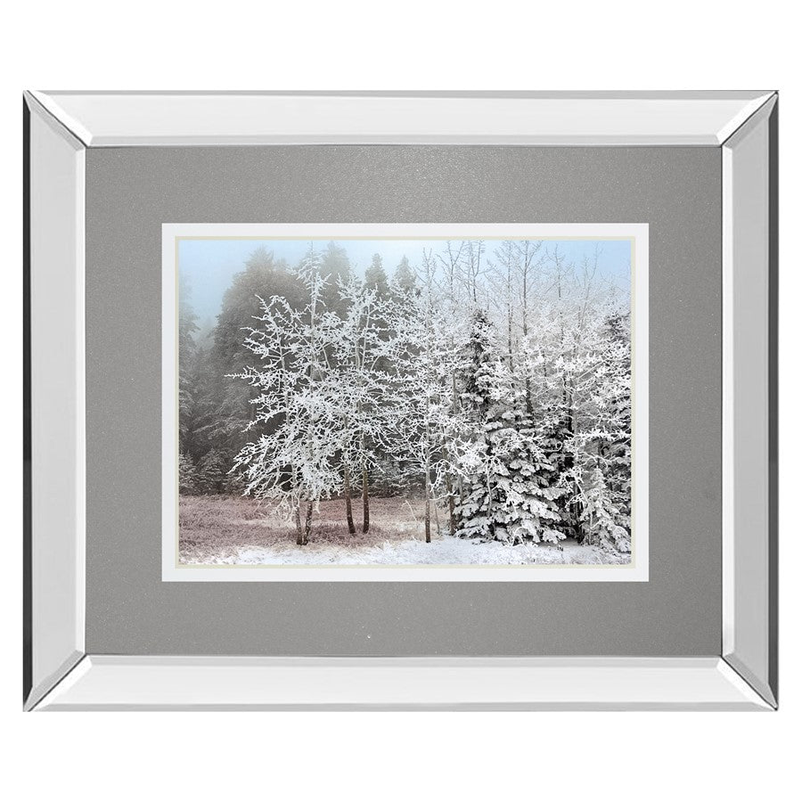 Classy Living Frosty Morning Wall Art 40"x34", Mirrored
