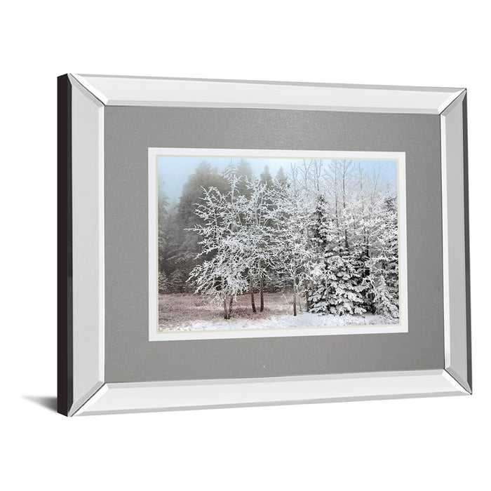 Classy Living Frosty Morning Wall Art 40"x34", Mirrored