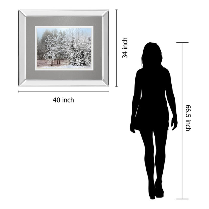 Classy Living Frosty Morning Wall Art 40"x34", Mirrored