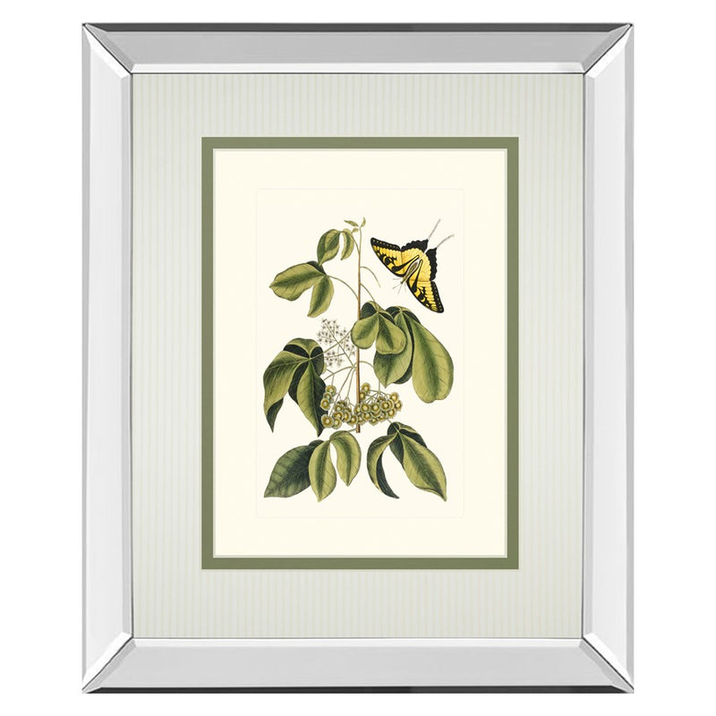Classy Living Butterfly Elegance Wall Art 34"x40", Mirrored