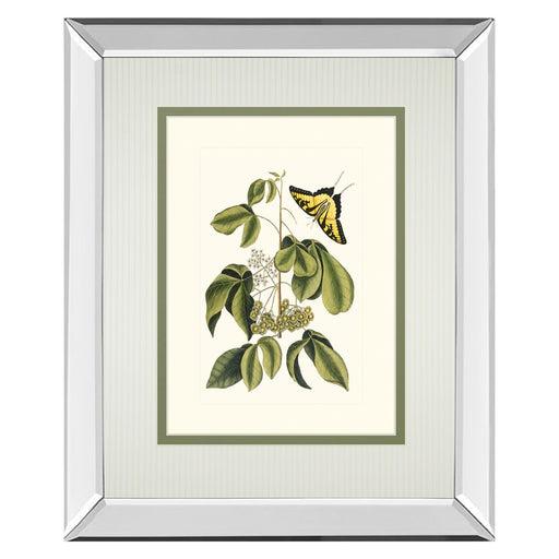 Classy Living Butterfly Elegance Wall Art 34"x40", Mirrored - DM5886MF