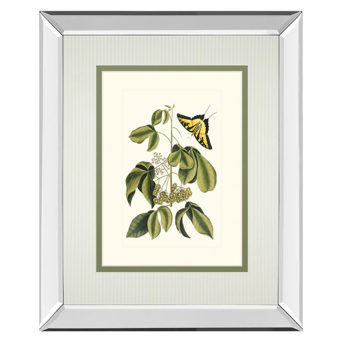 Classy Living Butterfly Elegance Wall Art 34"x40", Mirrored - DM5886MF