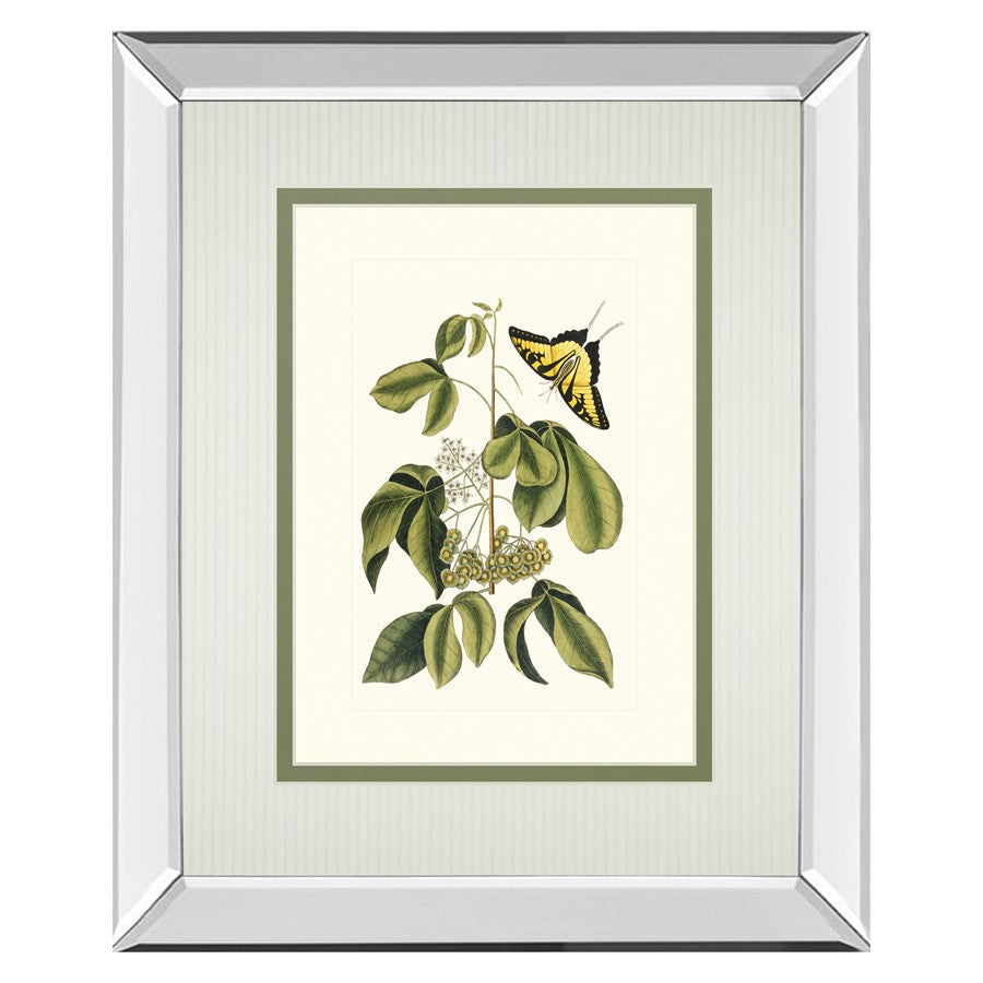 Classy Living Butterfly Elegance Wall Art 34"x40", Mirrored - DM5886MF