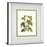 Classy Living Butterfly Elegance Wall Art 34"x40", Mirrored