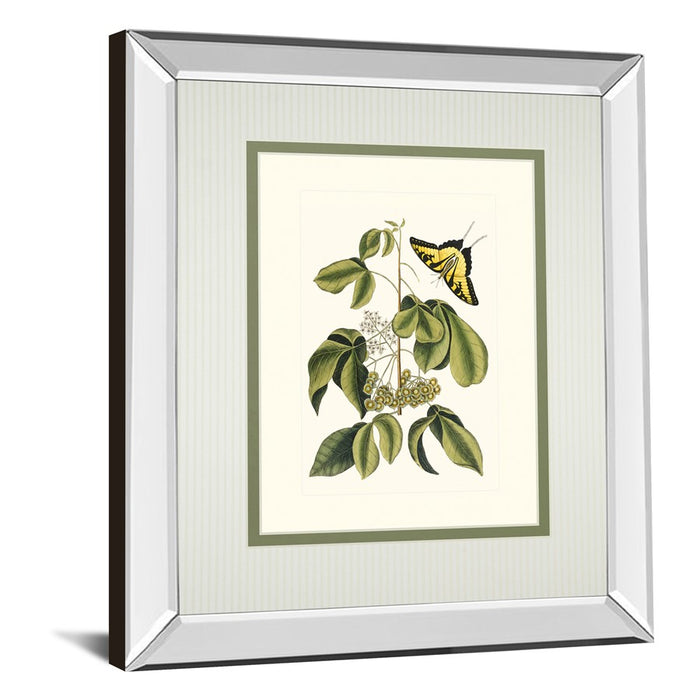 Classy Living Butterfly Elegance Wall Art 34"x40", Mirrored