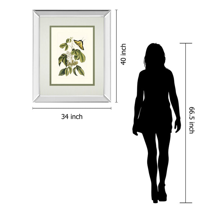 Classy Living Butterfly Elegance Wall Art 34"x40", Mirrored