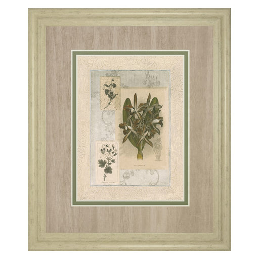 Classy Living Orchid Elegance Wall Art Double Mat 34"x40", Ivory Bliss