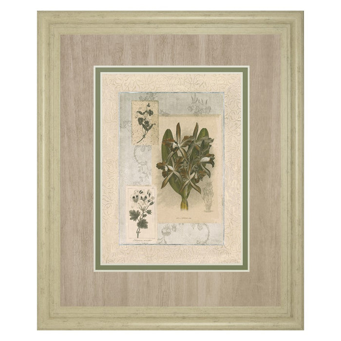 Classy Living Orchid Elegance Wall Art Double Mat 34"x40", Ivory Bliss